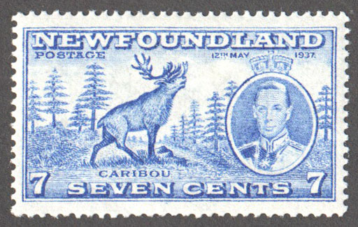 Newfoundland Scott 235 Mint VF (P13.7) - Click Image to Close